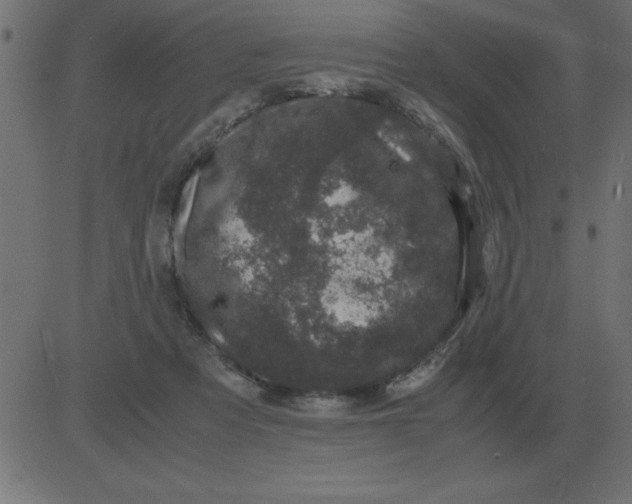 X0000081350313200702020121