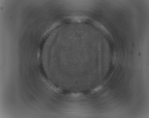 X0000081350314200702020121