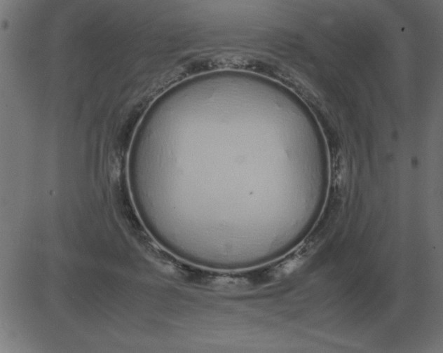 X0000081350315200702020121