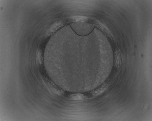 X0000081350316200702020121