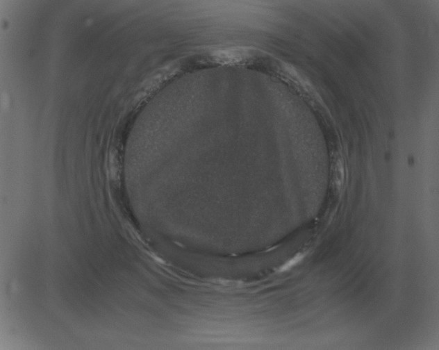 X0000081350317200702020121