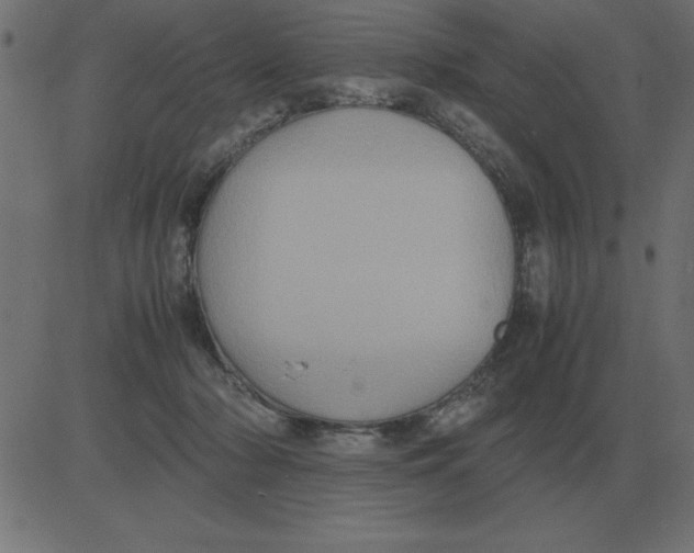 X0000081350318200702020121