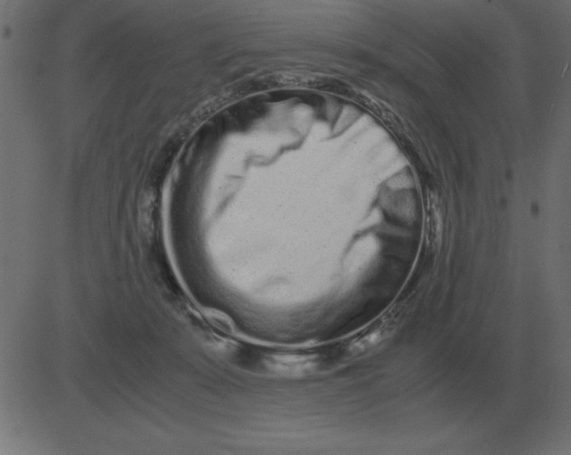 X0000081350319200702020121