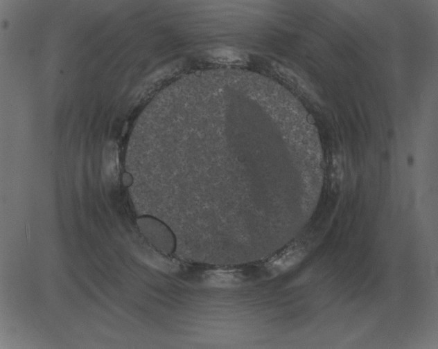 X0000081350320200702020121