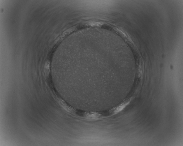 X0000081350321200702020121