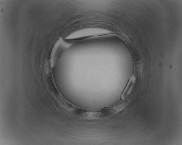 X0000081350323200702020121