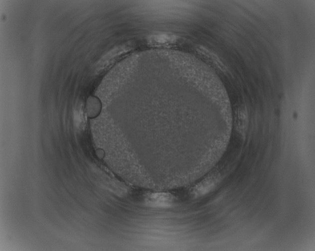 X0000081350324200702020121