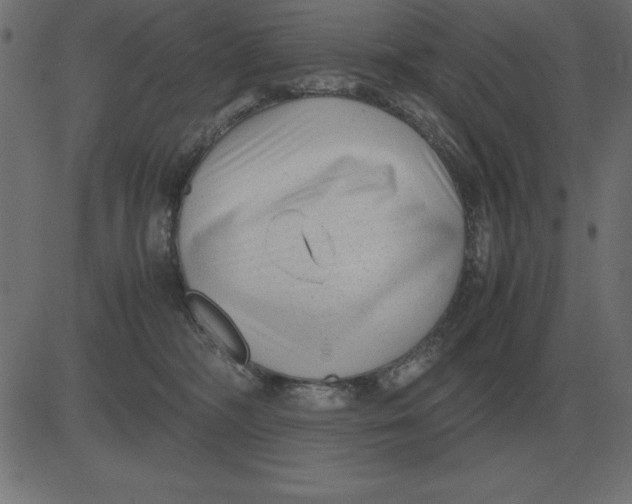 X0000081350326200702020121