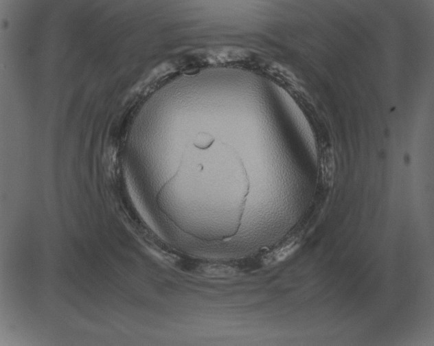 X0000081350327200702020121