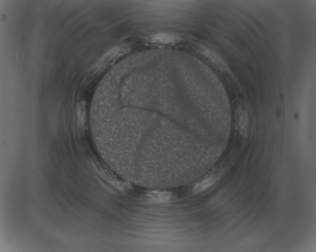 X0000081350328200702020121