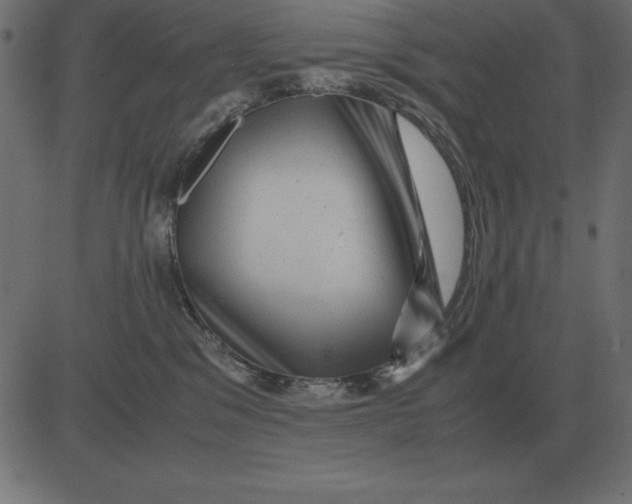 X0000081350329200702020121