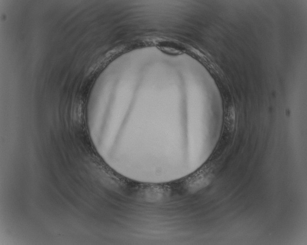 X0000081350330200702020121