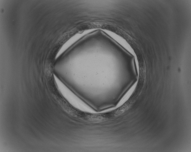 X0000081350331200702020121