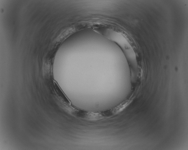 X0000081350333200702020121