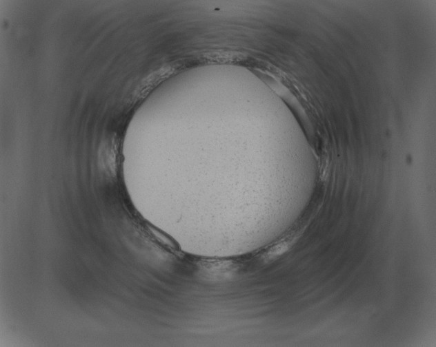 X0000081350334200702020121