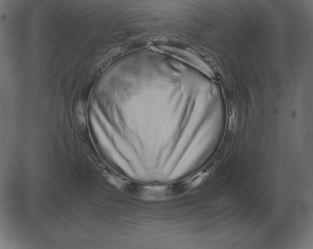 X0000081350335200702020121