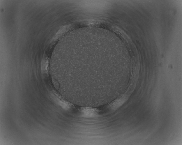 X0000081350336200702020121