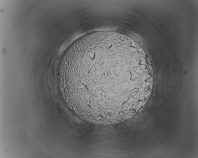 X0000081350337200702020120