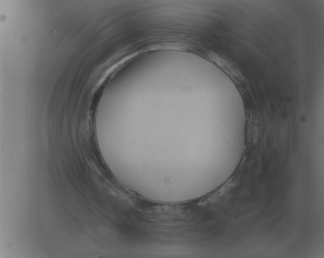 X0000081350338200702020120