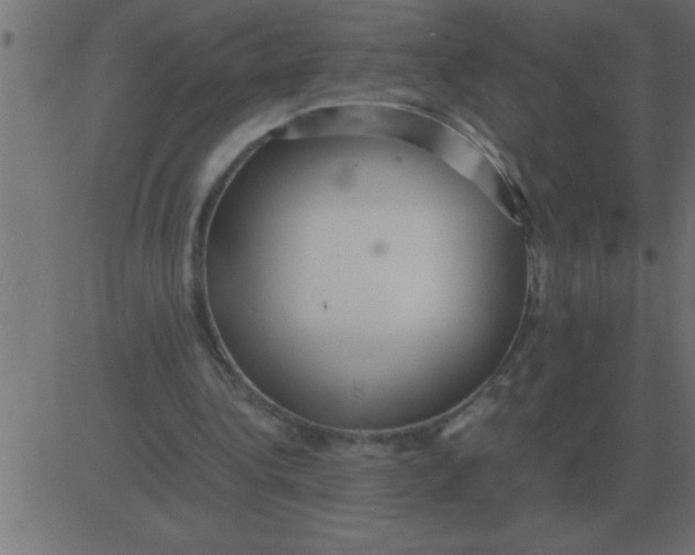 X0000081350340200702020120