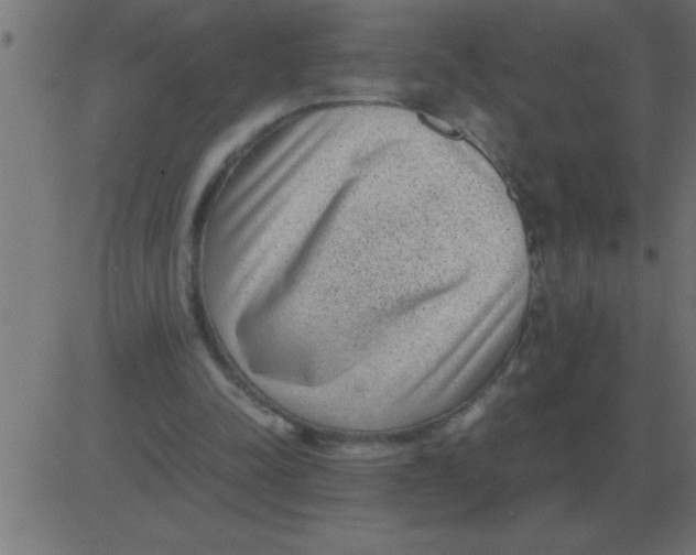 X0000081350342200702020120