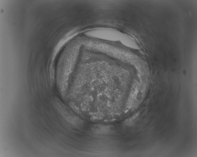 X0000081350343200702020120