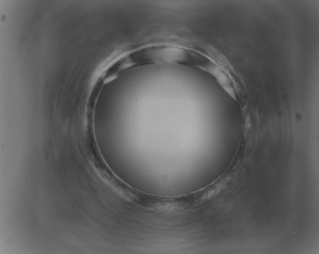 X0000081350344200702020120