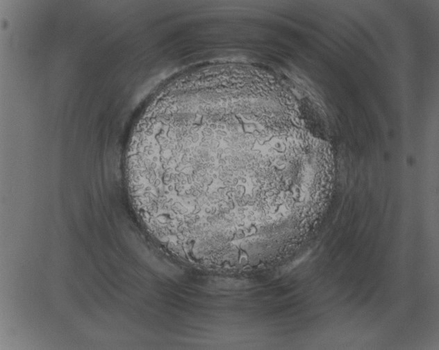 X0000081350347200702020120