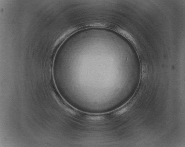 X0000081350349200702020120