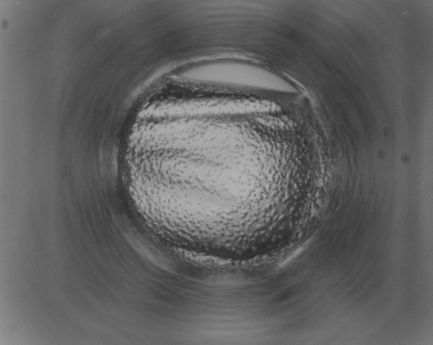 X0000081350350200702020120