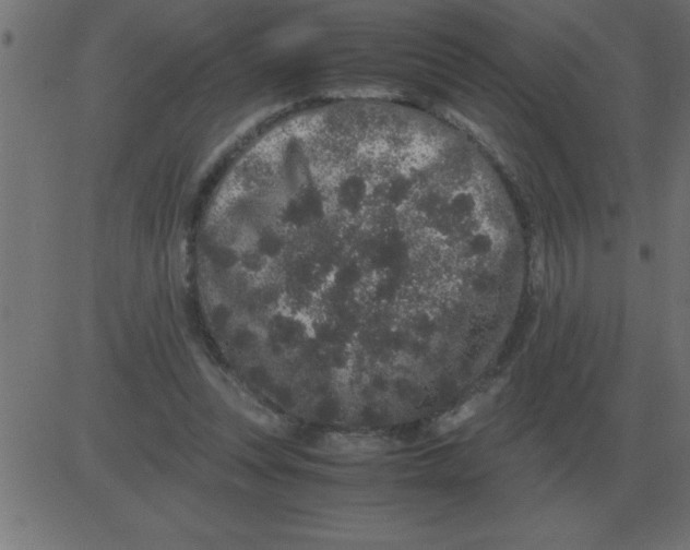 X0000081350351200702020120