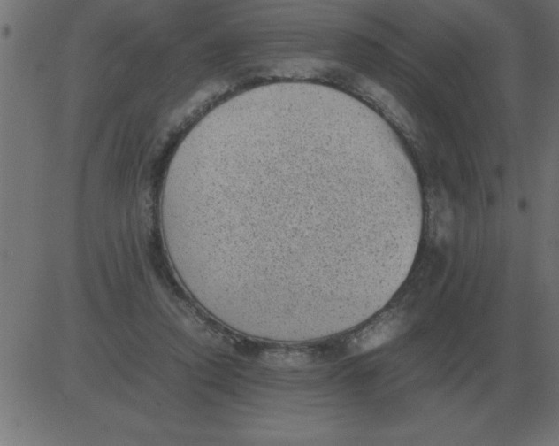 X0000081350354200702020120