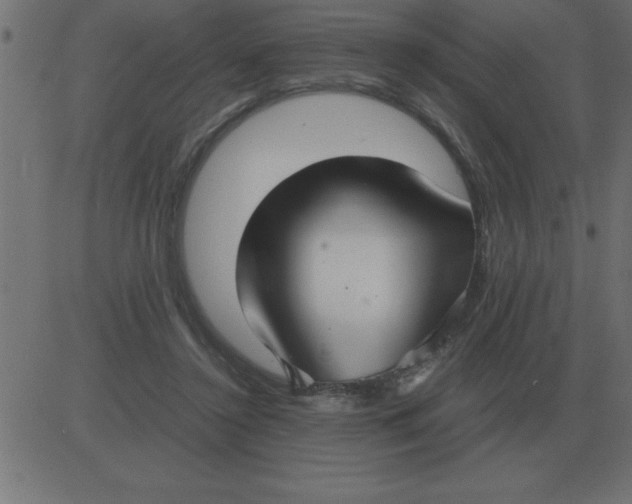 X0000081350356200702020120