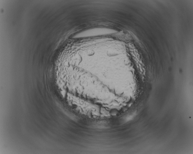 X0000081350357200702020120