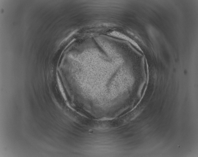 X0000081350358200702020120