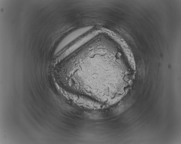 X0000081350359200702020120