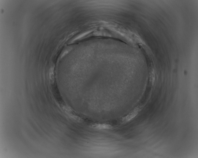 X0000081350360200702020120