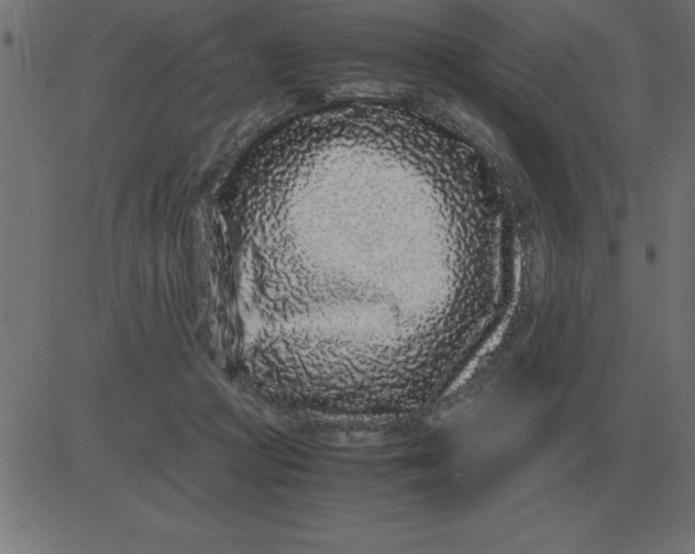 X0000081350361200702020120