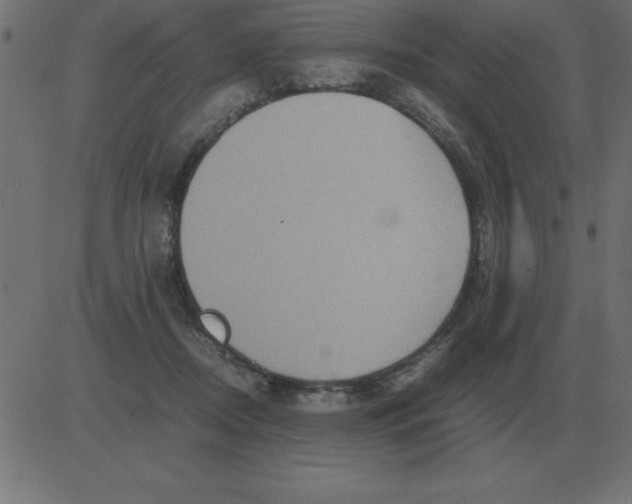 X0000081350362200702020120