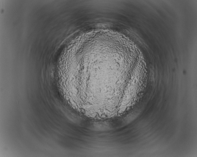 X0000081350363200702020120