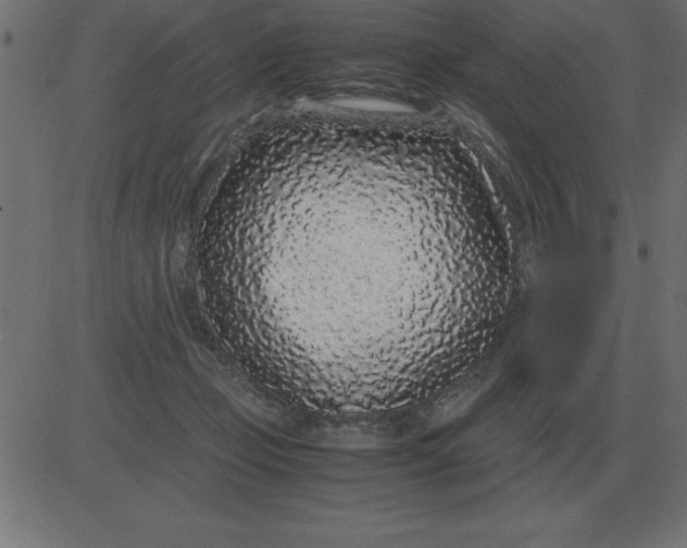 X0000081350365200702020120