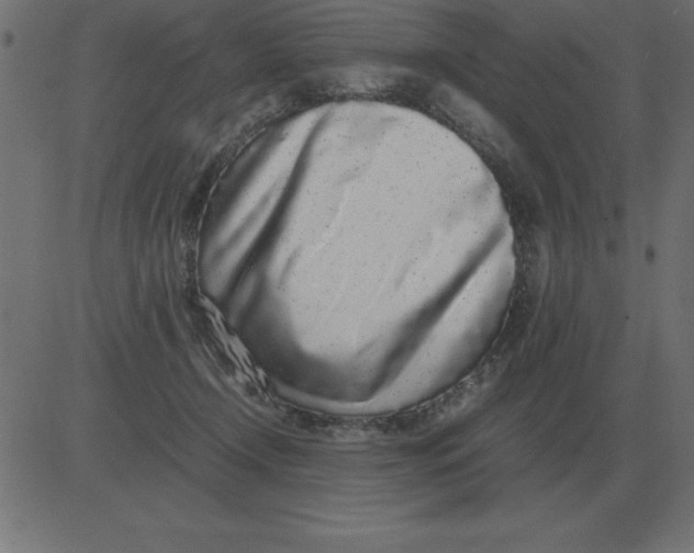 X0000081350366200702020120