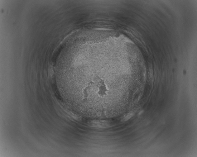 X0000081350367200702020120