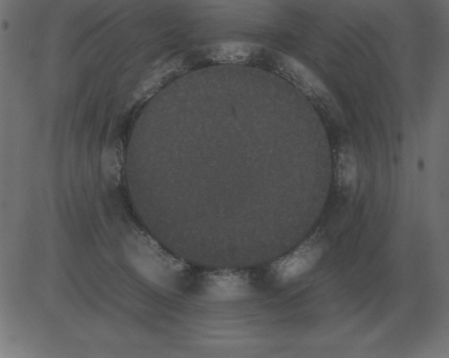 X0000081350370200702020120