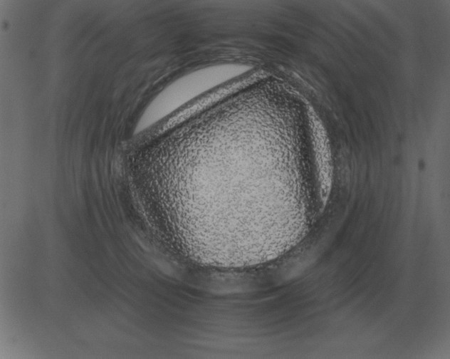 X0000081350371200702020120