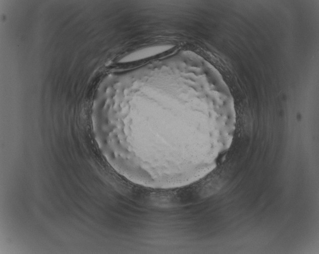 X0000081350373200702020120