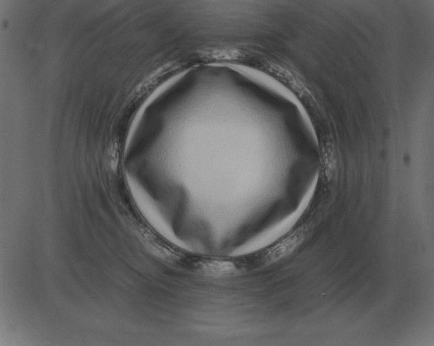 X0000081350374200702020120