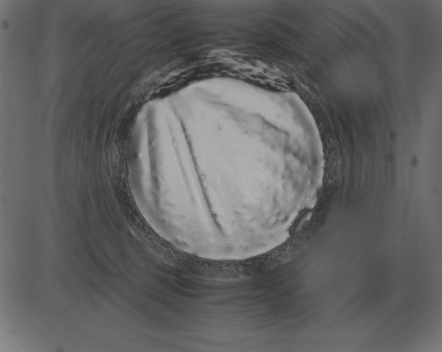 X0000081350375200702020120