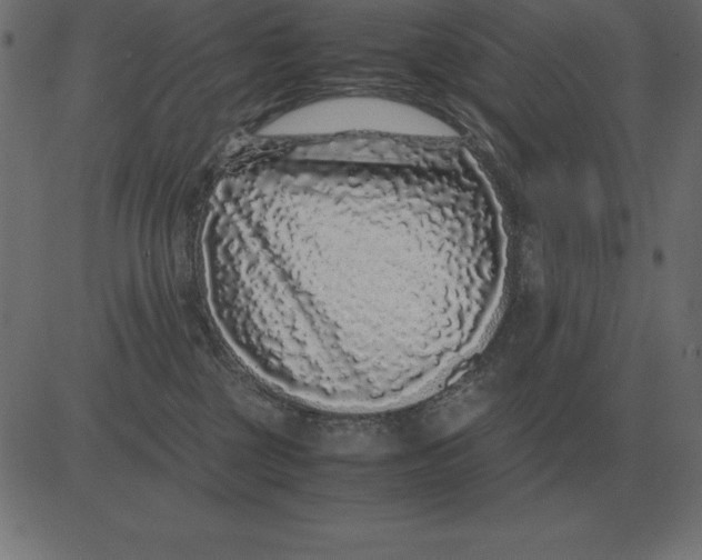 X0000081350377200702020120