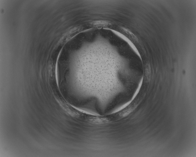 X0000081350379200702020120